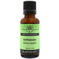 Peppermint Essential Oil - Tree Spirit Wellness