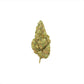PINEAPPLE EXPRESS EXOTIC THCA FLOWER - Sativa Hybrid (8ct) - Tree Spirit Wellness