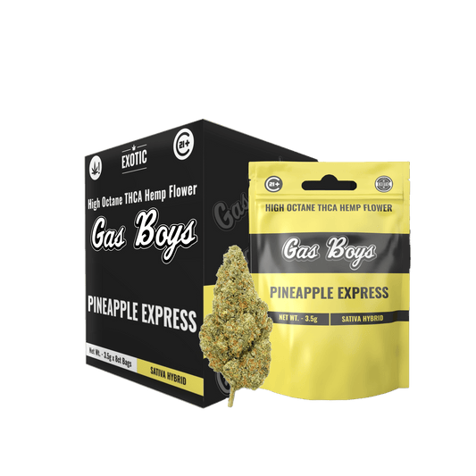PINEAPPLE EXPRESS EXOTIC THCA FLOWER - Sativa Hybrid (8ct) - Tree Spirit Wellness