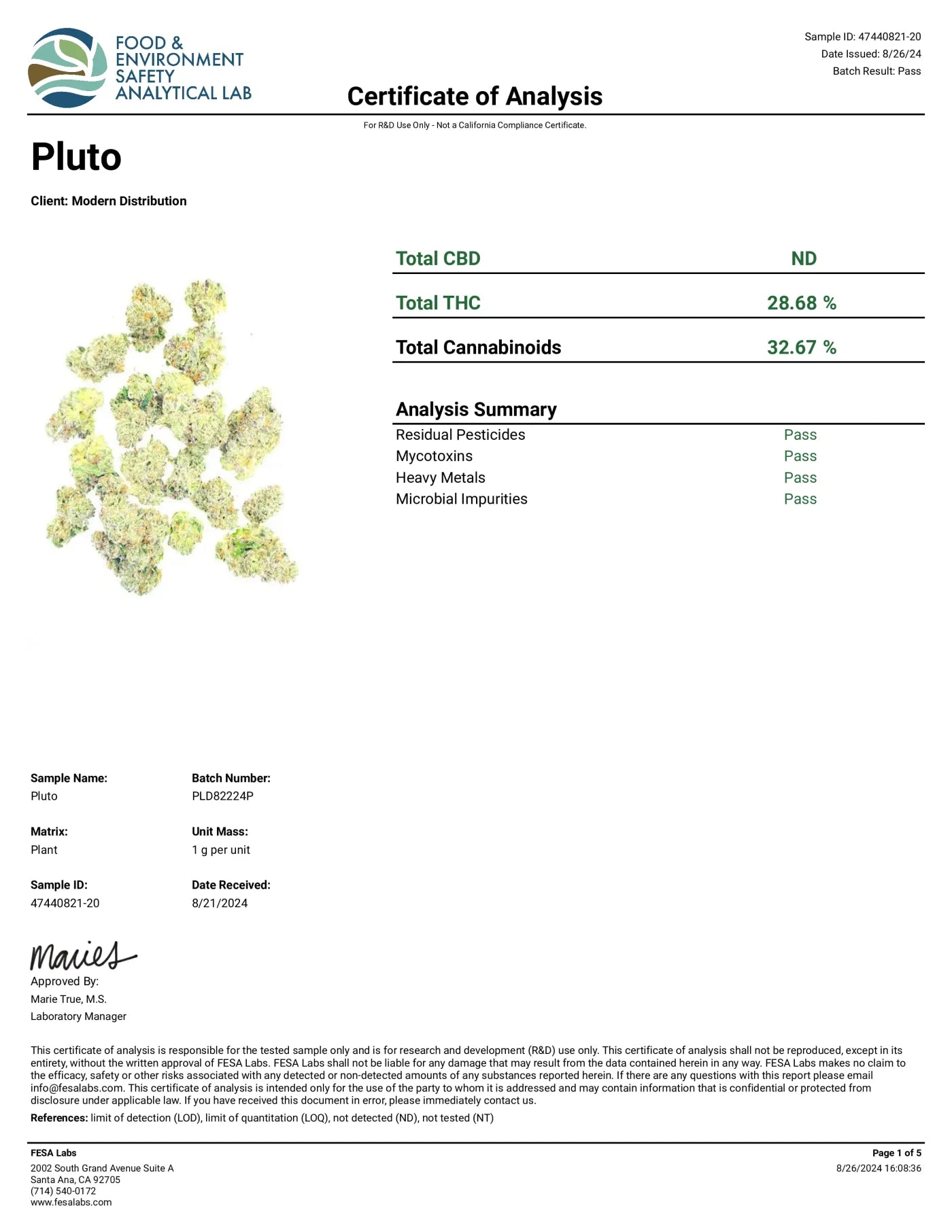 Pluto EXOTIC THCA FLOWER - Indica (8ct) - Tree Spirit Wellness