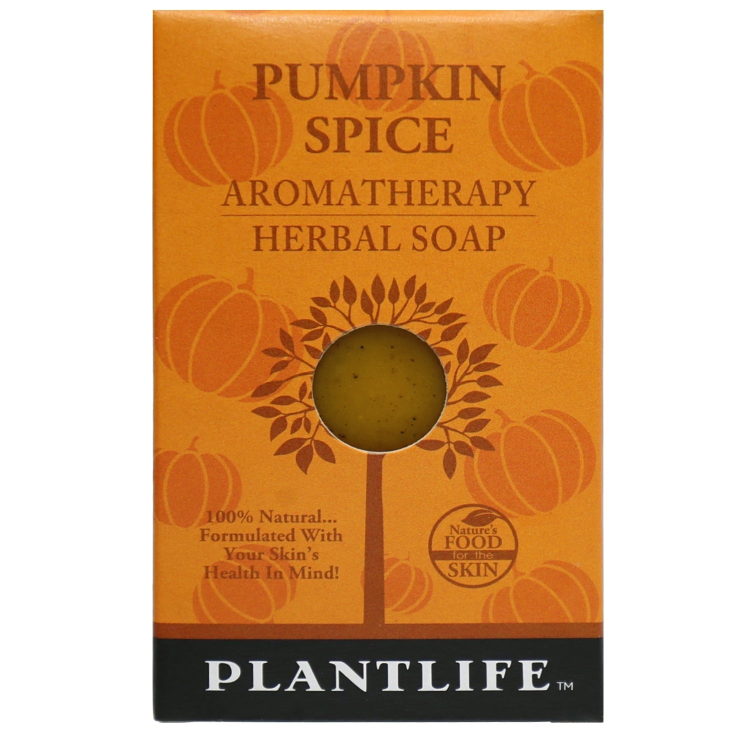Pumpkin Spice Soap Sample- Tree Spirit Wellness