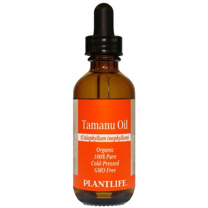 Tamanu Oil - Tree Spirit Wellness