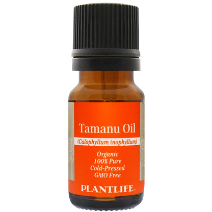 Tamanu Oil - Tree Spirit Wellness