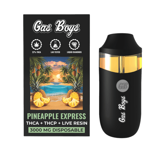 THCA 3G DISPOSABLE VAPE - Pineapple Express - Hybrid (6 DEVICES) - Tree Spirit Wellness