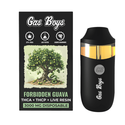 THCA DISPOSABLE VAPE - Forbidden Guava - 3000MG DISPOSABLE Hybrid (6 DEVICES) - Tree Spirit Wellness