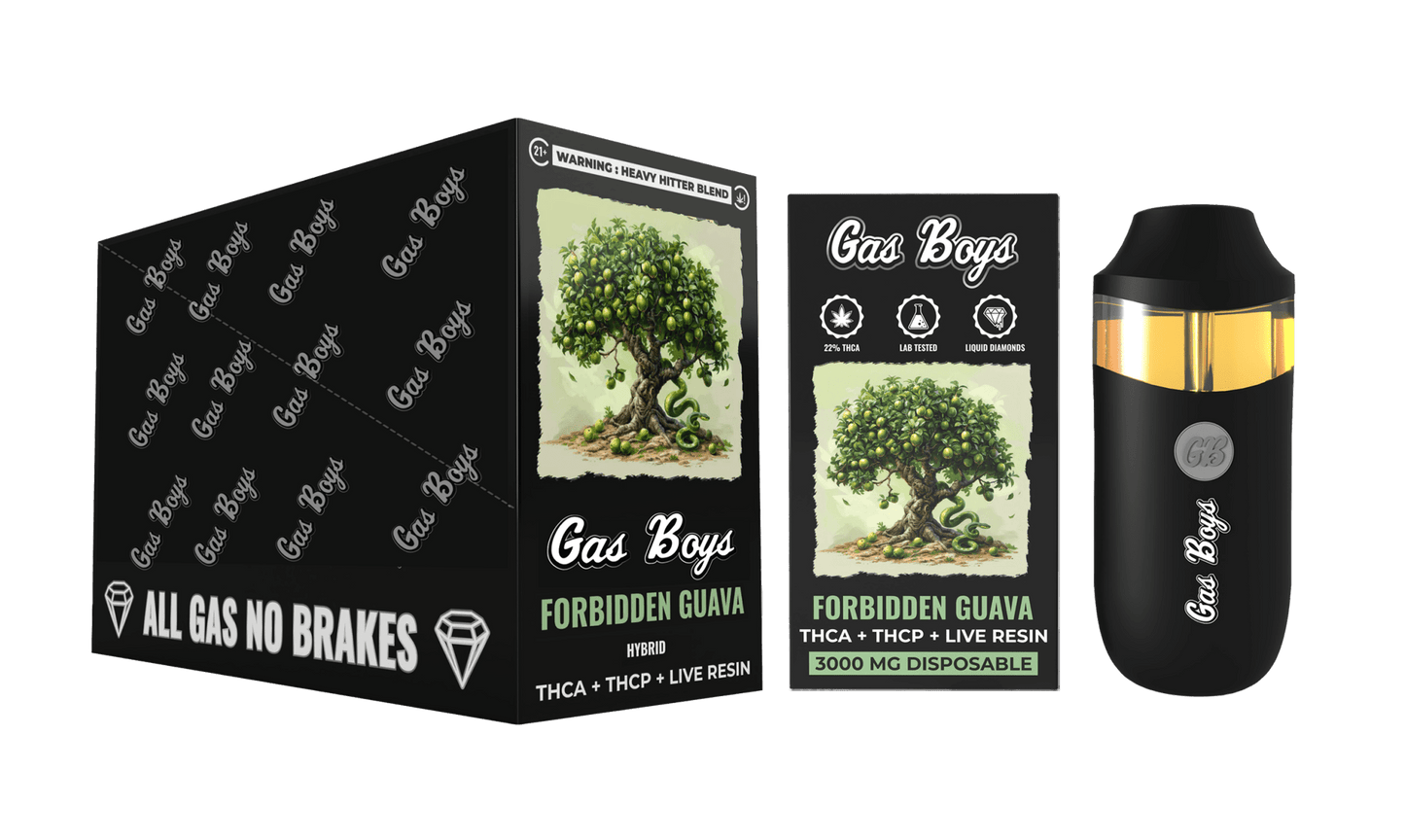THCA DISPOSABLE VAPE - Forbidden Guava - 3000MG DISPOSABLE Hybrid (6 DEVICES) - Tree Spirit Wellness