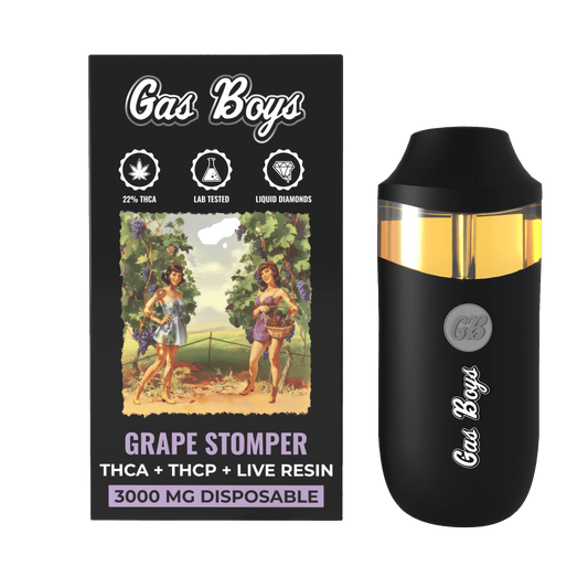 THCA DISPOSABLE VAPE - Grape Stomper - 3000MG DISPOSABLE - Indica (6 DEVICES) - Tree Spirit Wellness