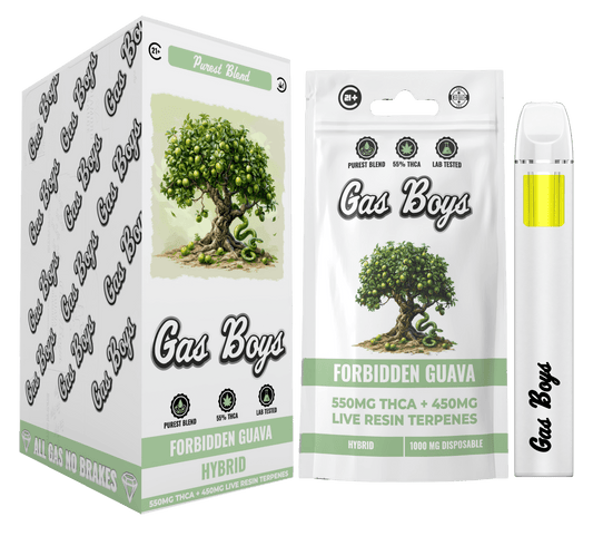 THCA + LIVE RESIN - Forbidden Guava DISPOSABLE VAPE (10ct) - Tree Spirit Wellness