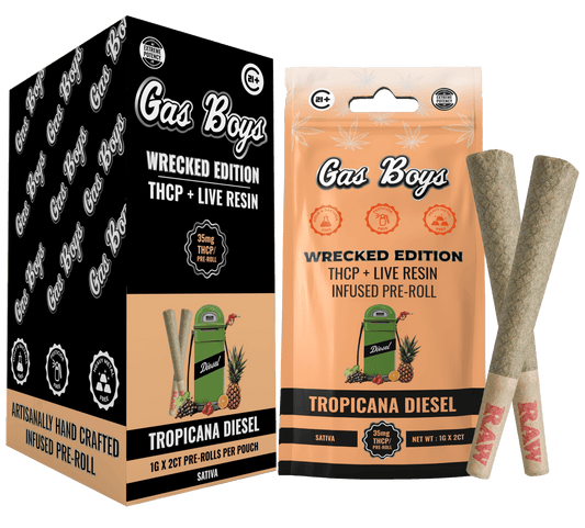THCP LIVE RESIN INFUSED PRE - ROLL Tropicana Diesel Display Box - Indica (10ct pouches) - Tree Spirit Wellness