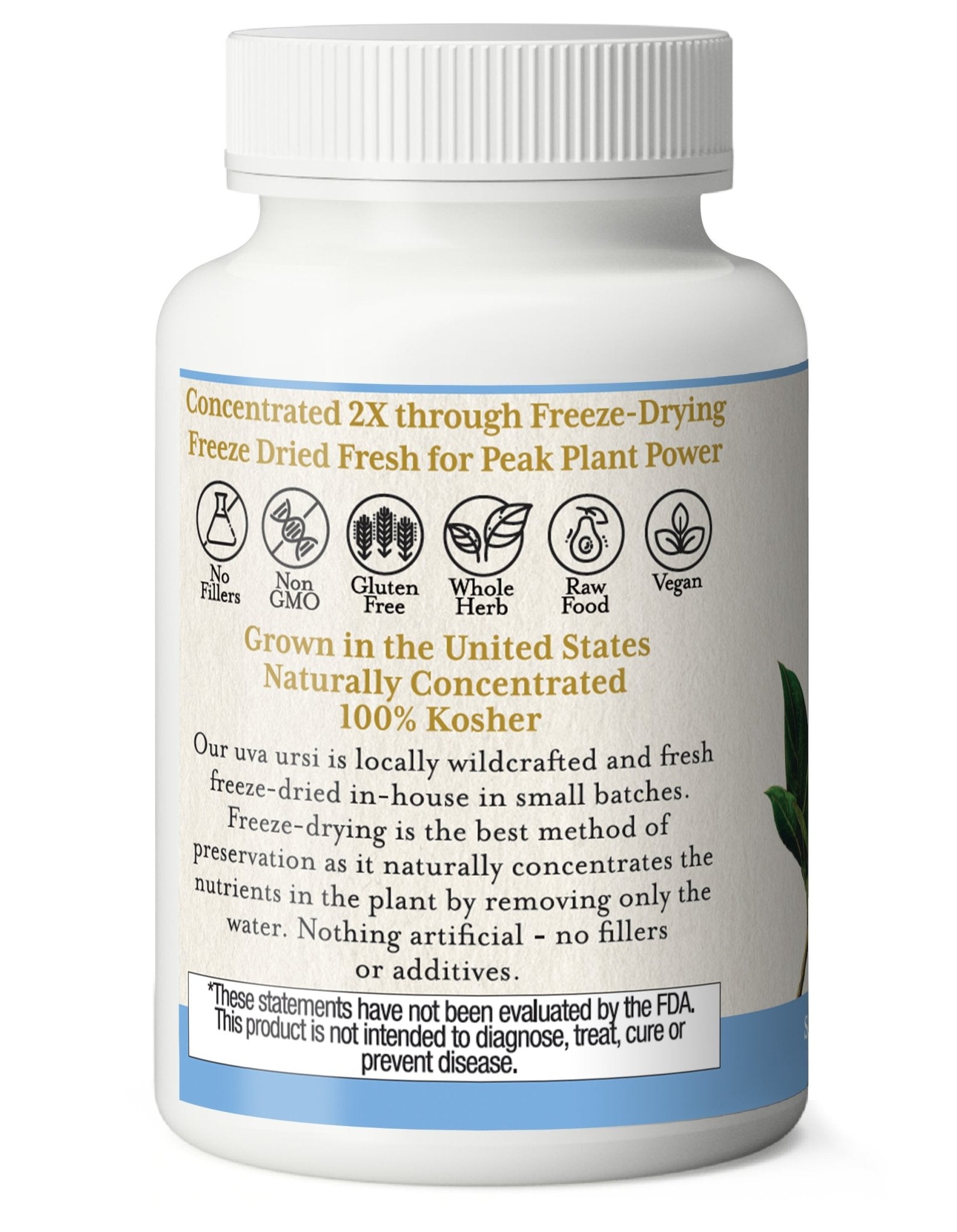 UVA URSI CAPSULES - Tree Spirit Wellness
