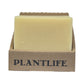 Vanilla Orange Bar Soap - box of 6 - Tree Spirit Wellness