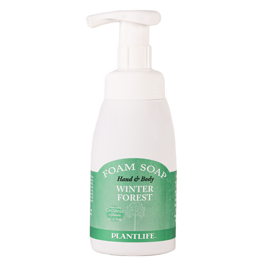 Winter Forest -Tree Spirit Wellness