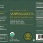 Ashwagandha - Tree Spirit Wellness