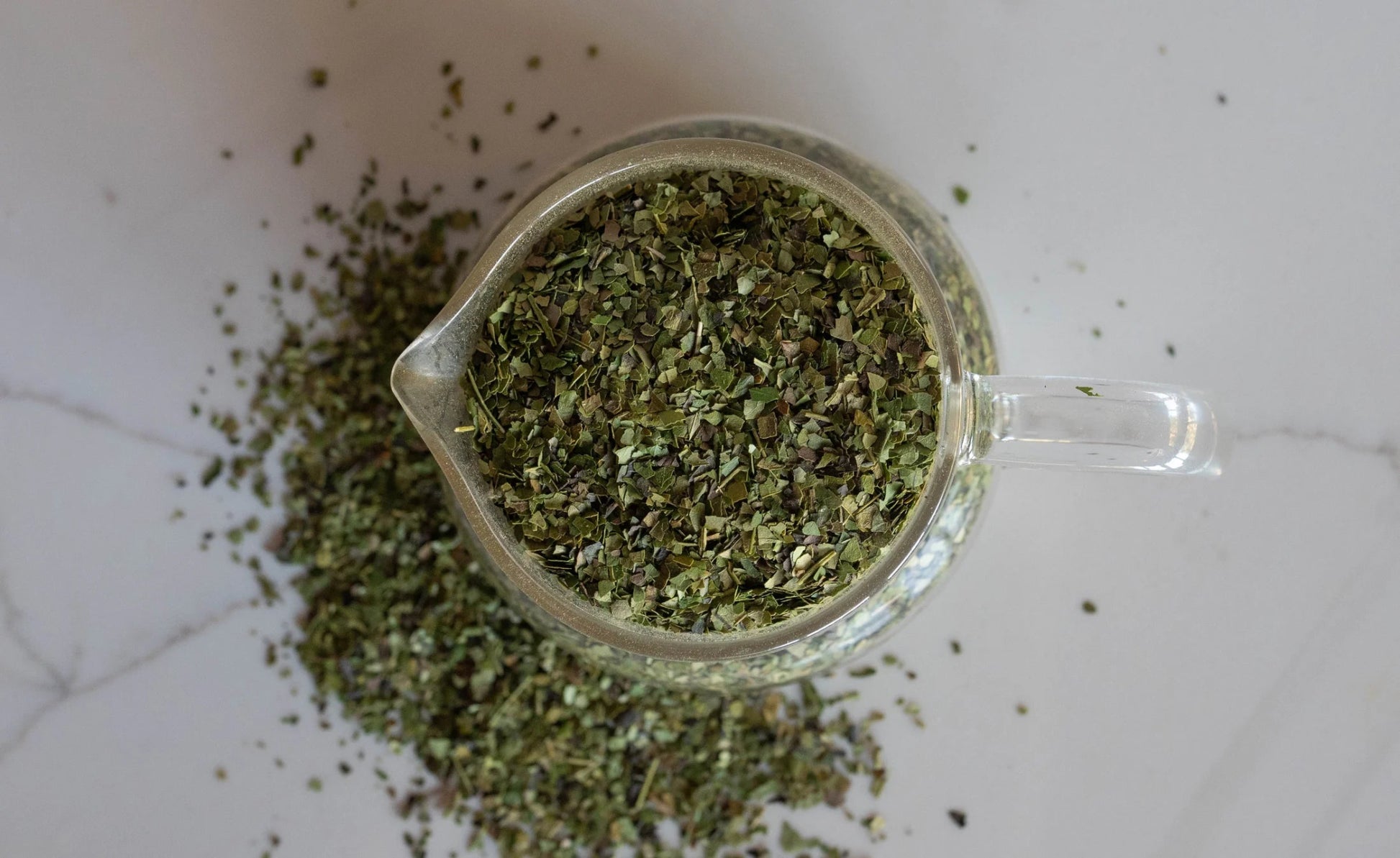 Guayusa - Tree Spirit Wellness