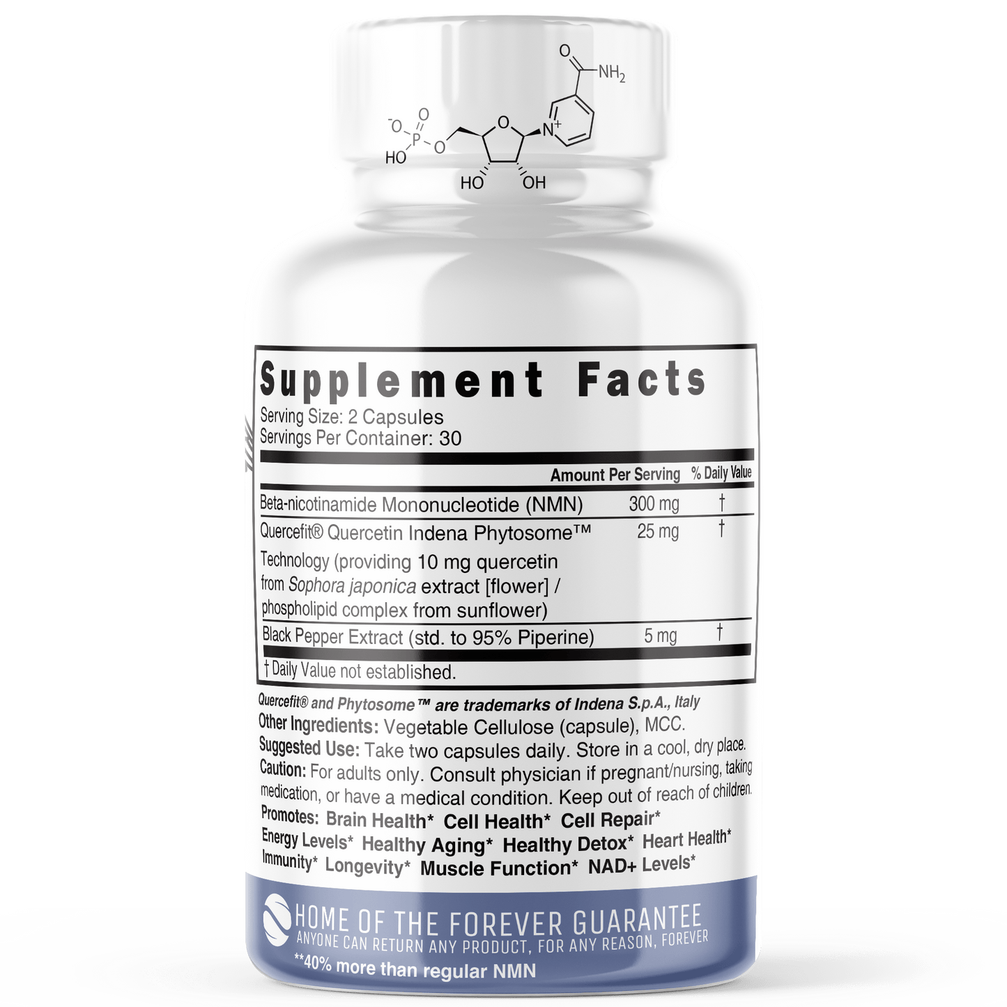 NMN+ 300 mg (NMN + Quercetin & Piperine) 60ct - Tree Spirit Wellness