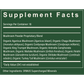 Organic Mushroom Blend - Tree Spirit Wellness